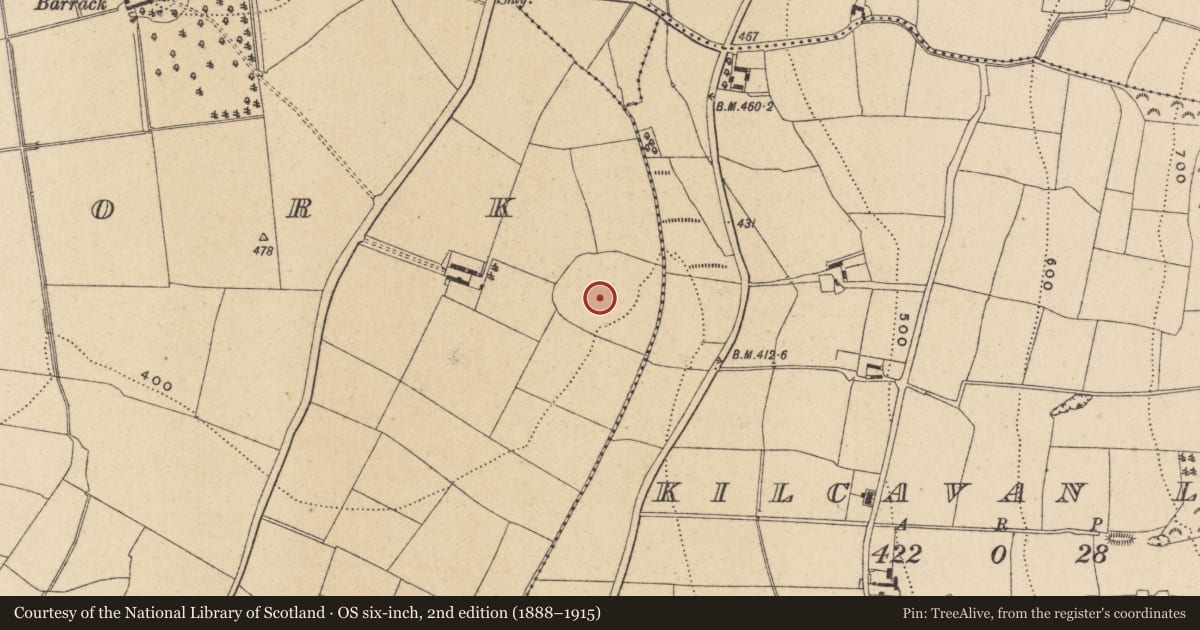 Ordnance Survey six-inch map, 2nd edition (1888–1915) covering the location of Enclosure, Tomacork, County Wicklow, with a pin at the register's coordinates