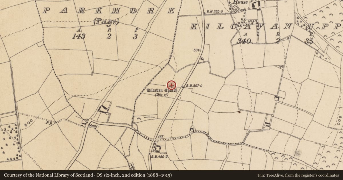 Ordnance Survey six-inch map, 2nd edition (1888–1915) covering the location of Church, Kilcavan Upper, County Wicklow, with a pin at the register's coordinates