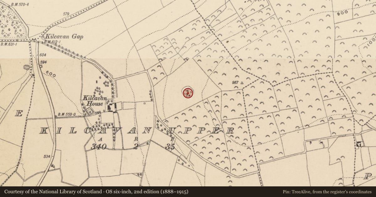 Ordnance Survey six-inch map, 2nd edition (1888–1915) covering the location of Ringfort - rath, Kilcavan Upper, County Wicklow, with a pin at the register's coordinates