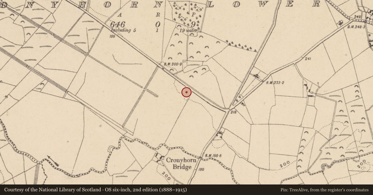 Ordnance Survey six-inch map, 2nd edition (1888–1915) covering the location of Enclosure, Cronyhorn Lower, County Wicklow, with a pin at the register's coordinates