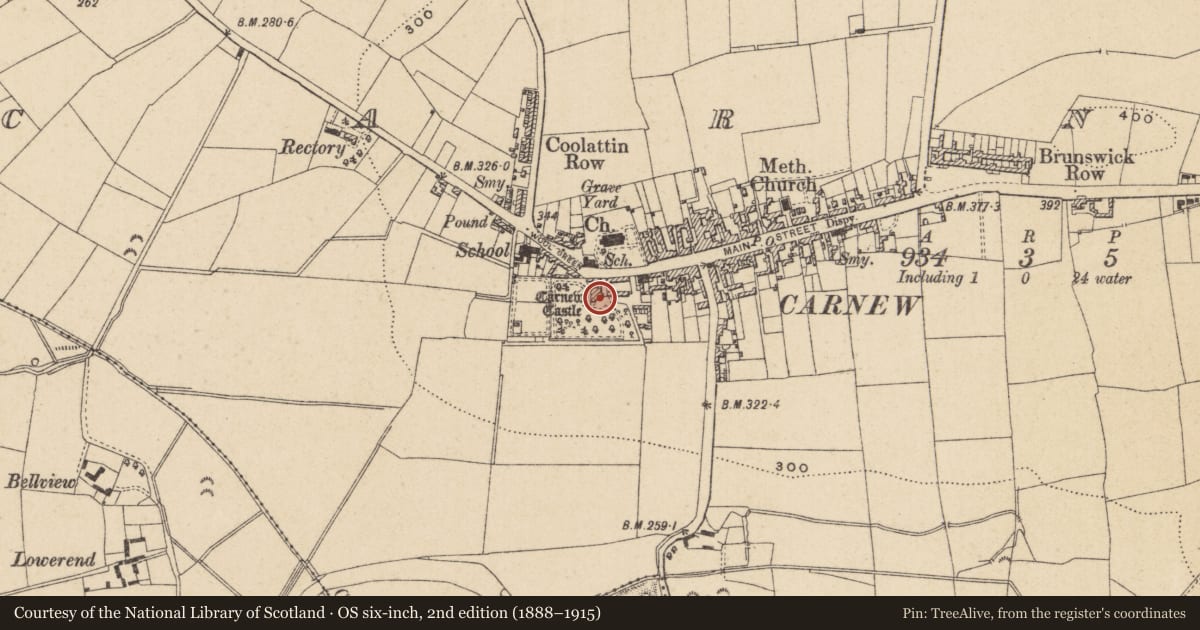 Ordnance Survey six-inch map, 2nd edition (1888–1915) covering the location of Castle - tower house, Carnew, County Wicklow, with a pin at the register's coordinates