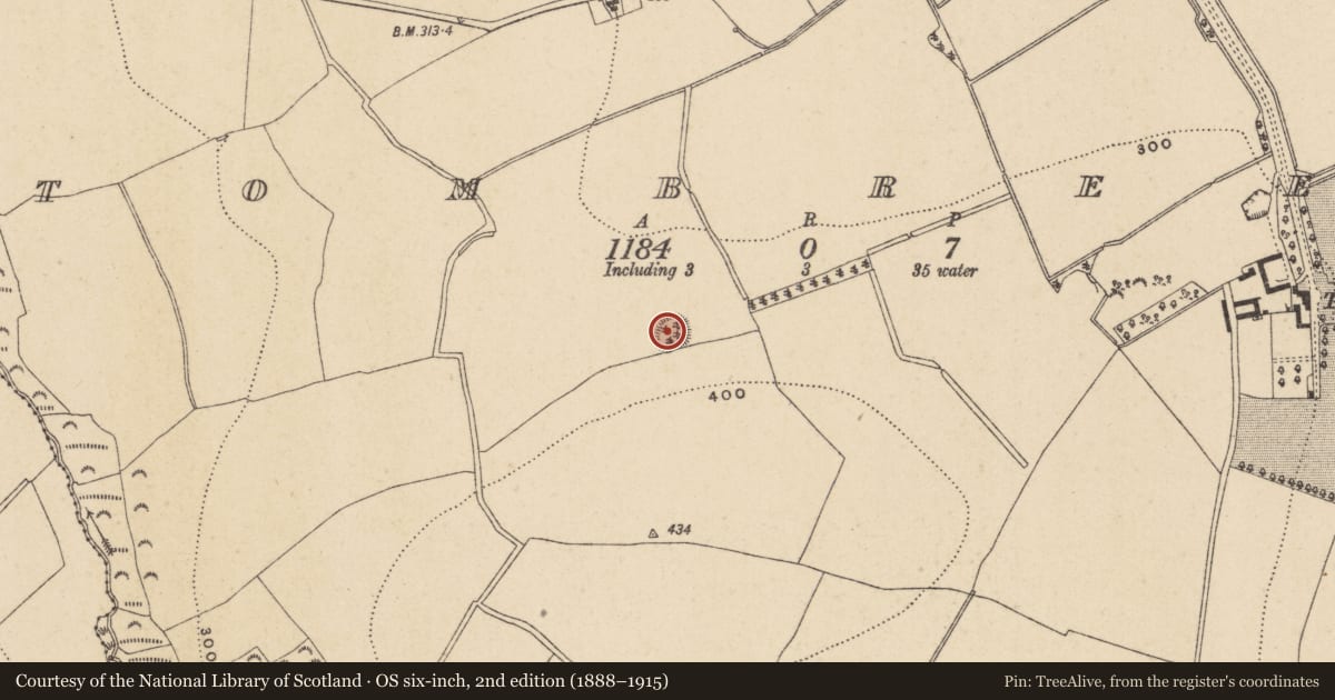 Ordnance Survey six-inch map, 2nd edition (1888–1915) covering the location of Enclosure, Tombreen, County Wicklow, with a pin at the register's coordinates