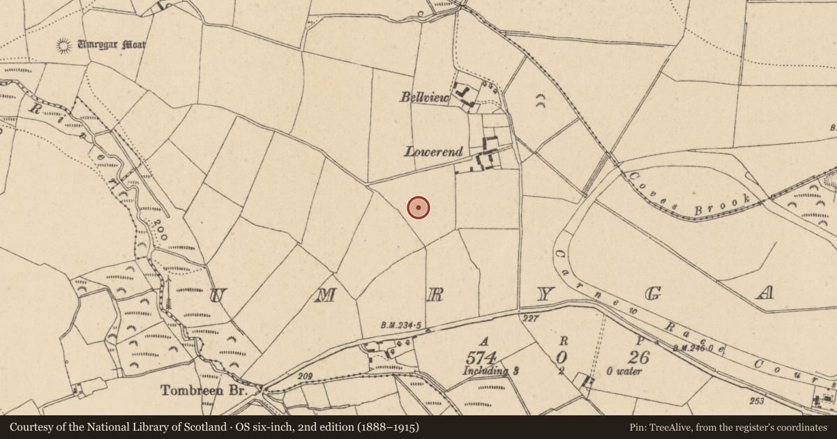 Ordnance Survey six-inch map, 2nd edition (1888–1915) covering the location of Enclosure, Umrygar, County Wicklow, with a pin at the register's coordinates
