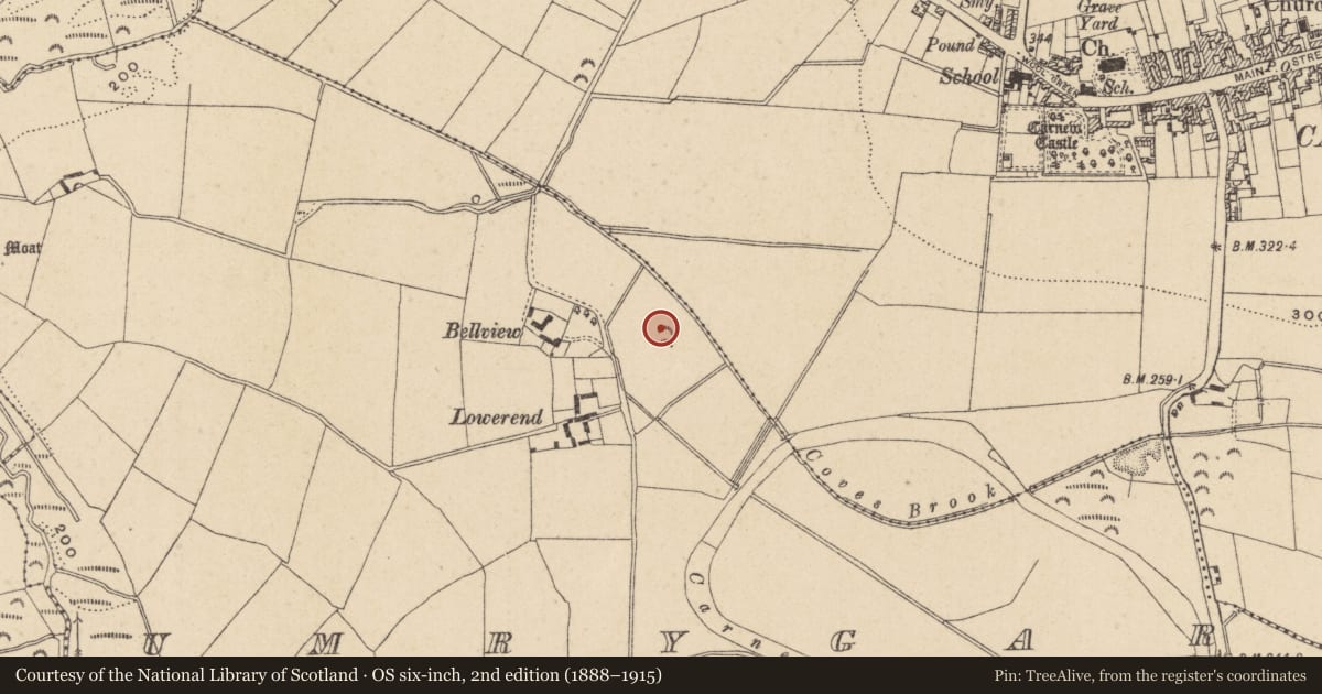 Ordnance Survey six-inch map, 2nd edition (1888–1915) covering the location of Enclosure, Umrygar, County Wicklow, with a pin at the register's coordinates