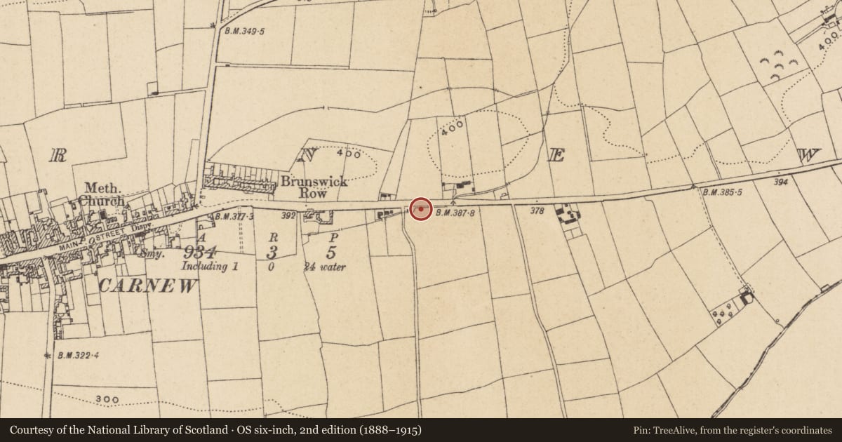 Ordnance Survey six-inch map, 2nd edition (1888–1915) covering the location of Rock art (present location), Carnew, County Wicklow, with a pin at the register's coordinates