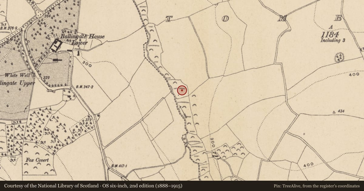 Ordnance Survey six-inch map, 2nd edition (1888–1915) covering the location of Church, Tombreen, County Wicklow, with a pin at the register's coordinates
