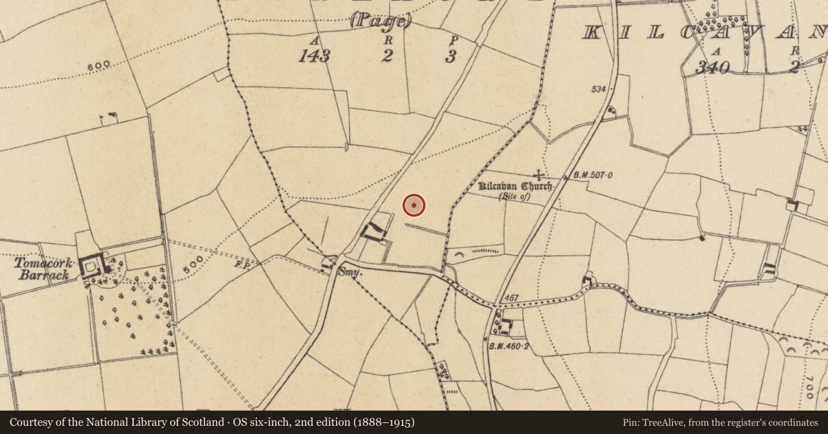 Ordnance Survey six-inch map, 2nd edition (1888–1915) covering the location of Moated site, Parkmore (Page), County Wicklow, with a pin at the register's coordinates