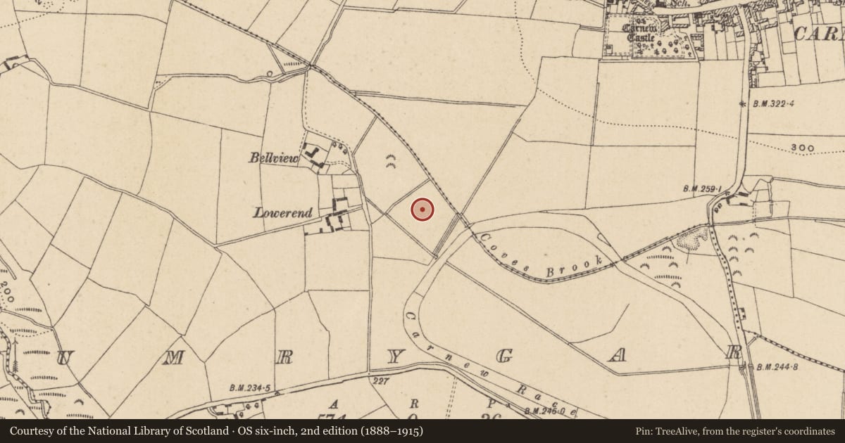 Ordnance Survey six-inch map, 2nd edition (1888–1915) covering the location of Enclosure, Umrygar, County Wicklow, with a pin at the register's coordinates