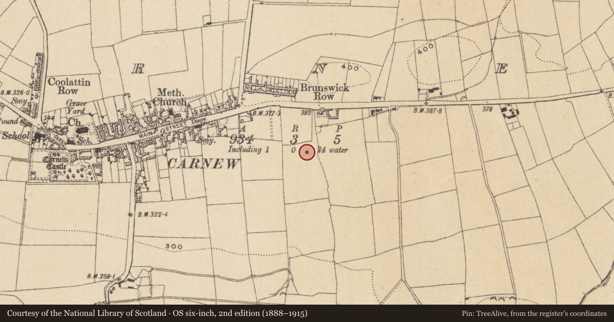 Ordnance Survey six-inch map, 2nd edition (1888–1915) covering the location of Ringfort - unclassified, Carnew, County Wicklow, with a pin at the register's coordinates