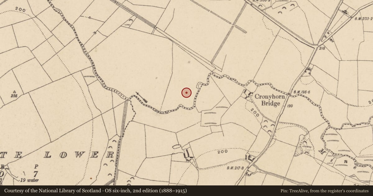 Ordnance Survey six-inch map, 2nd edition (1888–1915) covering the location of Enclosure, Cronyhorn Lower, County Wicklow, with a pin at the register's coordinates