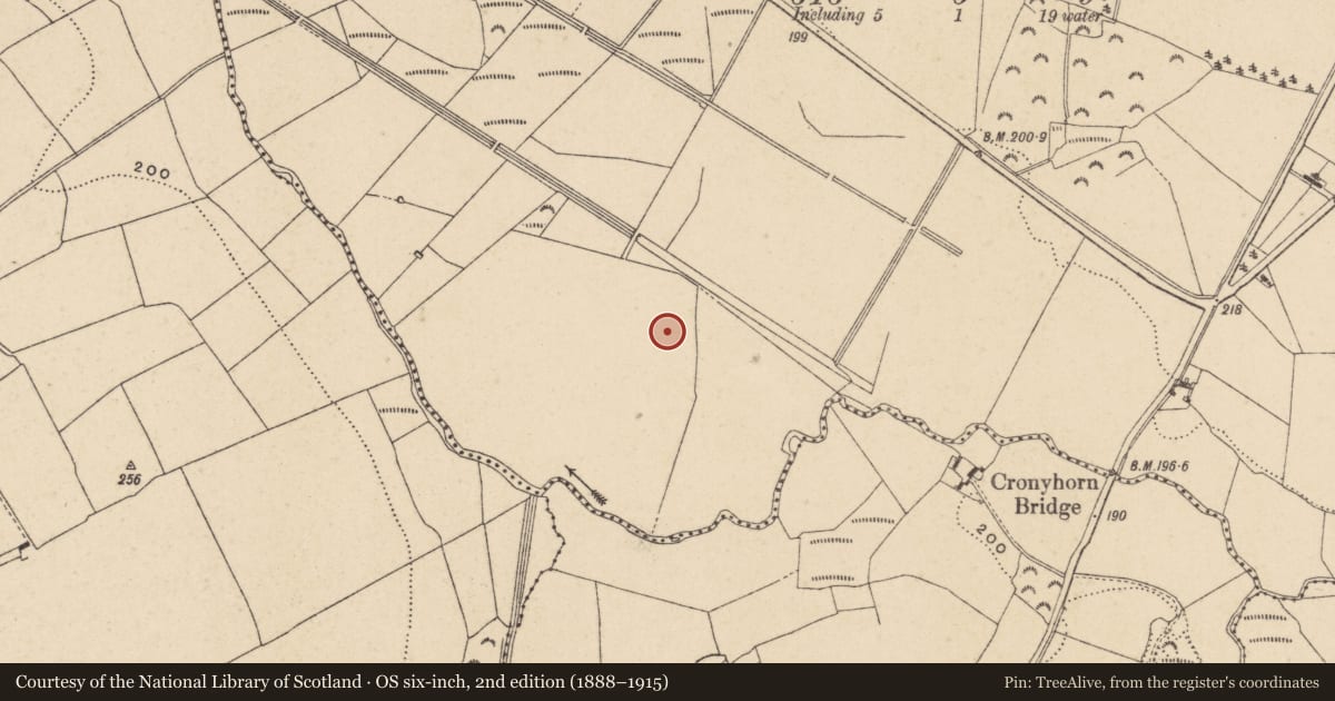 Ordnance Survey six-inch map, 2nd edition (1888–1915) covering the location of Enclosure - large enclosure, Cronyhorn Lower, County Wicklow, with a pin at the register's coordinates