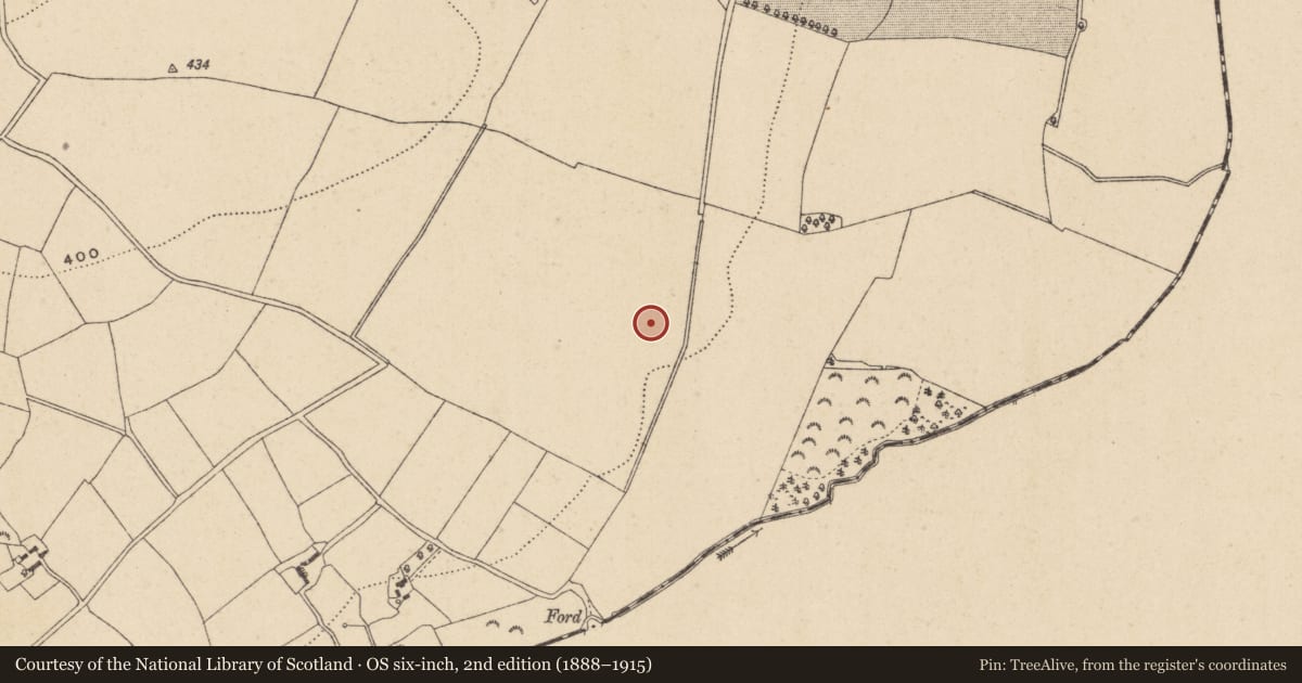 Ordnance Survey six-inch map, 2nd edition (1888–1915) covering the location of Enclosure, Tombreen, County Wicklow, with a pin at the register's coordinates