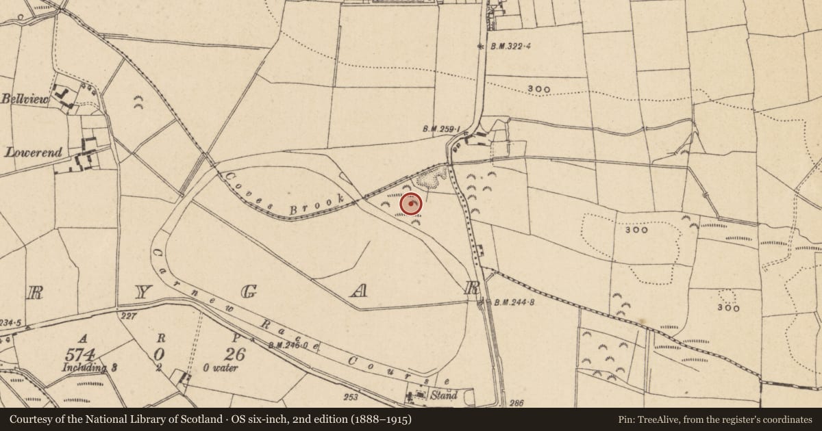 Ordnance Survey six-inch map, 2nd edition (1888–1915) covering the location of Earthwork, Umrygar, County Wicklow, with a pin at the register's coordinates