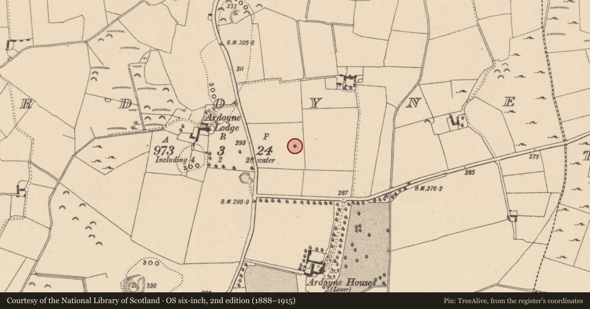 Ordnance Survey six-inch map, 2nd edition (1888–1915) covering the location of Enclosure, Ardoyne, County Wicklow, with a pin at the register's coordinates