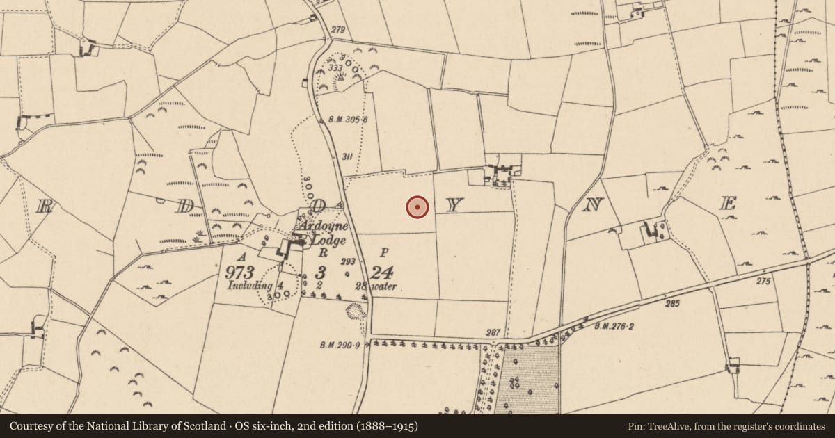 Ordnance Survey six-inch map, 2nd edition (1888–1915) covering the location of Ring-ditch, Ardoyne, County Wicklow, with a pin at the register's coordinates