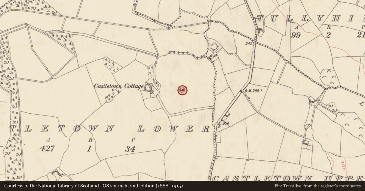 Ordnance Survey six-inch map, 2nd edition (1888–1915) covering the location of Ringfort - rath, Castletown Lower, County Westmeath, with a pin at the register's coordinates