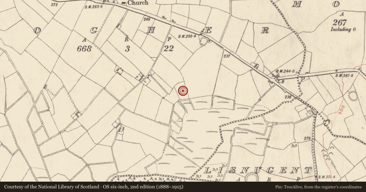 Ordnance Survey six-inch map, 2nd edition (1888–1915) covering the location of Ringfort - rath, Togher, County Westmeath, with a pin at the register's coordinates