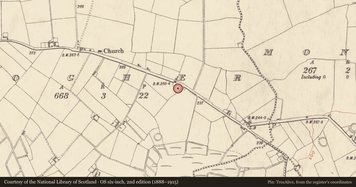 Ordnance Survey six-inch map, 2nd edition (1888–1915) covering the location of Ringfort - rath, Togher, County Westmeath, with a pin at the register's coordinates