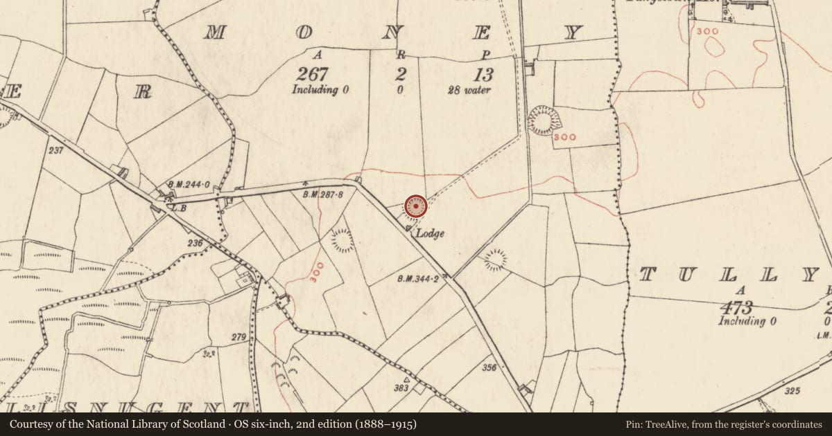 Ordnance Survey six-inch map, 2nd edition (1888–1915) covering the location of Ringfort - rath, Money, County Westmeath, with a pin at the register's coordinates