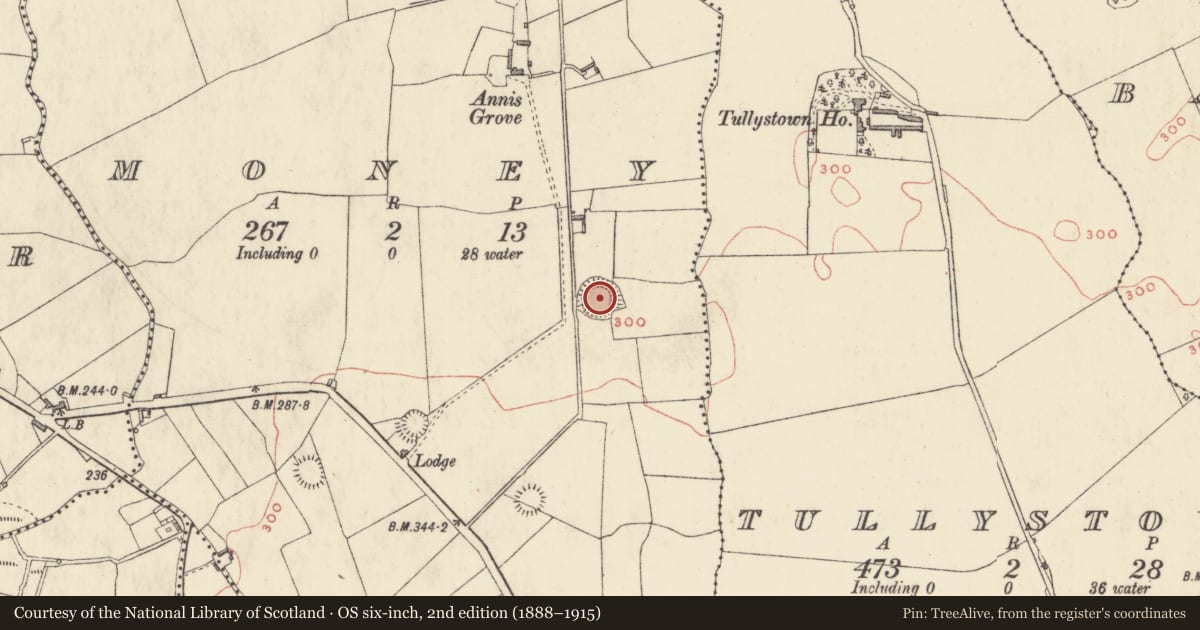 Ordnance Survey six-inch map, 2nd edition (1888–1915) covering the location of Ringfort - rath, Money, County Westmeath, with a pin at the register's coordinates