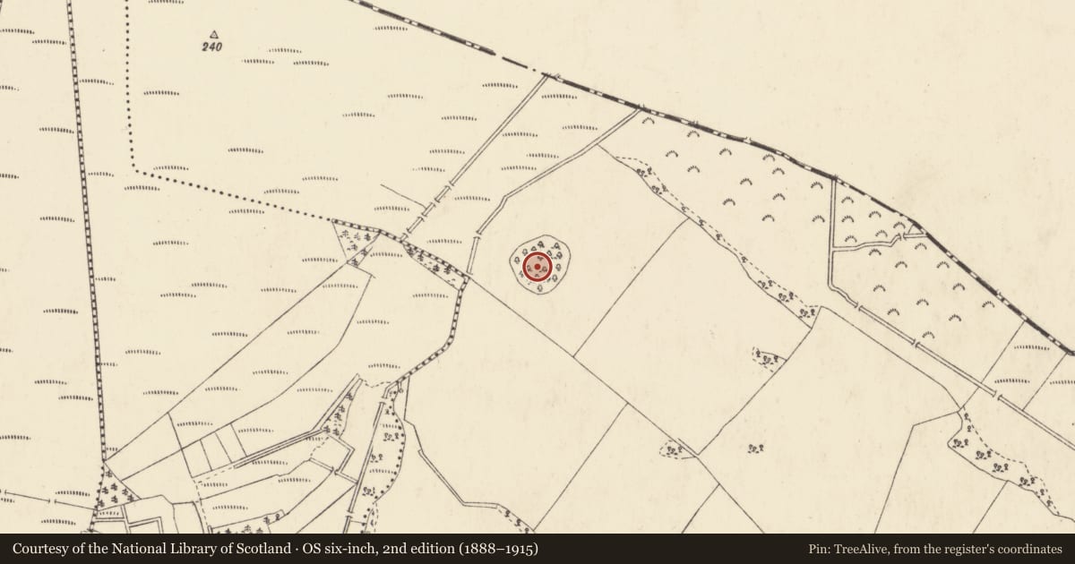 Ordnance Survey six-inch map, 2nd edition (1888–1915) covering the location of Designed landscape - tree-ring, Ballynascarry, County Westmeath, with a pin at the register's coordinates