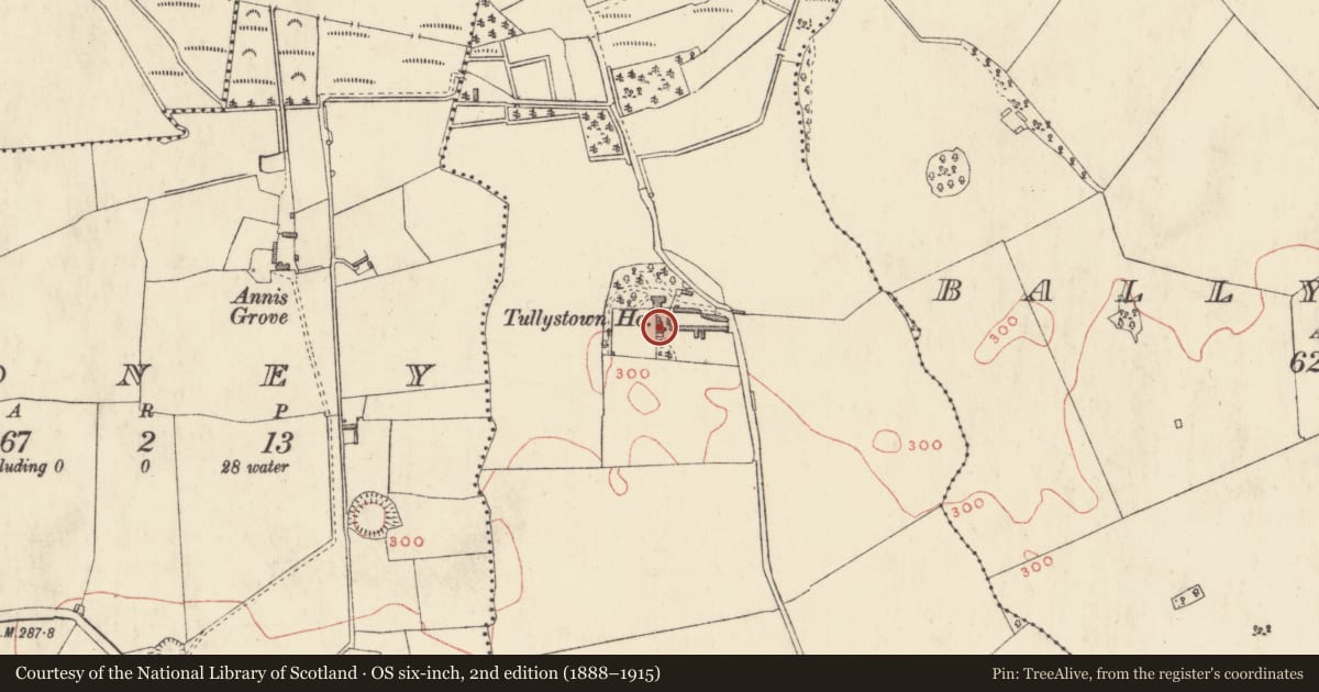 Ordnance Survey six-inch map, 2nd edition (1888–1915) covering the location of Castle - tower house, Tullystown, County Westmeath, with a pin at the register's coordinates