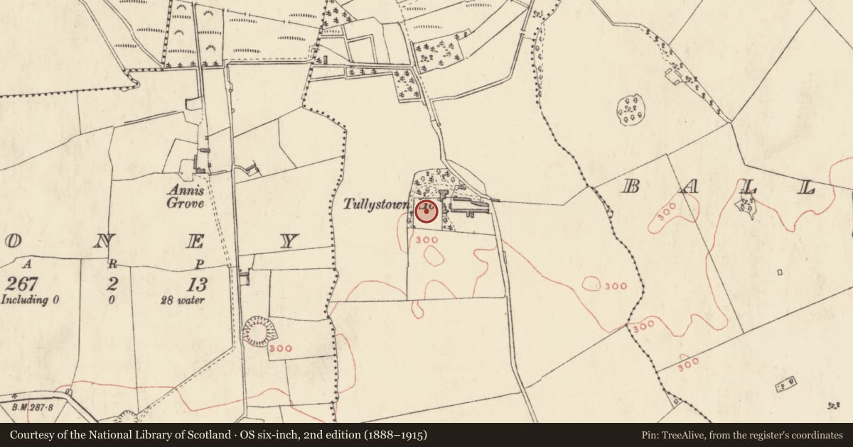 Ordnance Survey six-inch map, 2nd edition (1888–1915) covering the location of Bawn, Tullystown, County Westmeath, with a pin at the register's coordinates