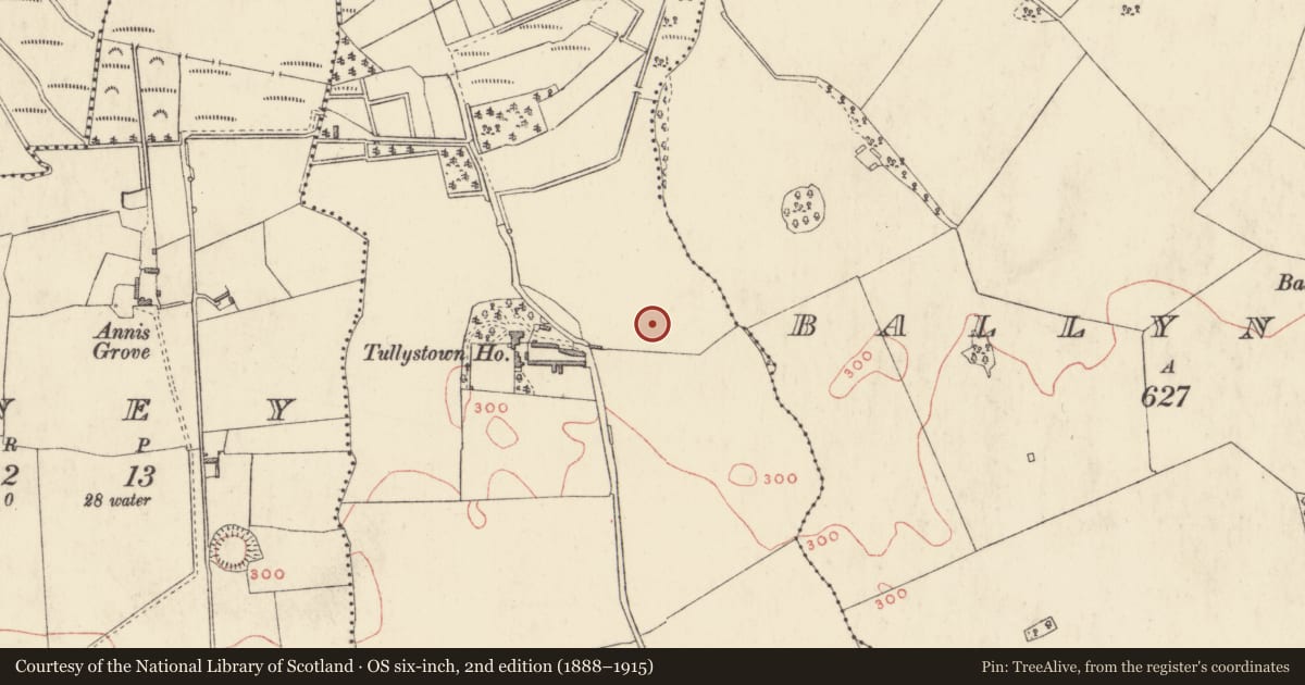 Ordnance Survey six-inch map, 2nd edition (1888–1915) covering the location of Barrow - ring-barrow, Tullystown, County Westmeath, with a pin at the register's coordinates