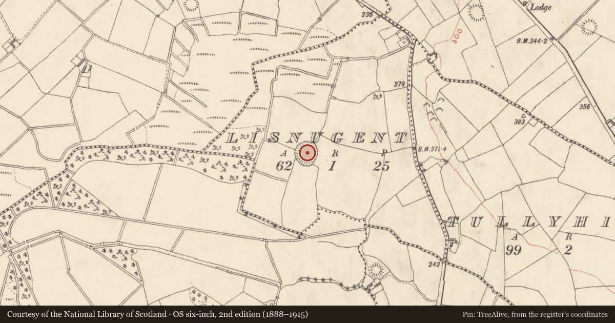 Ordnance Survey six-inch map, 2nd edition (1888–1915) covering the location of Ringfort - rath, Lisnugent, County Westmeath, with a pin at the register's coordinates