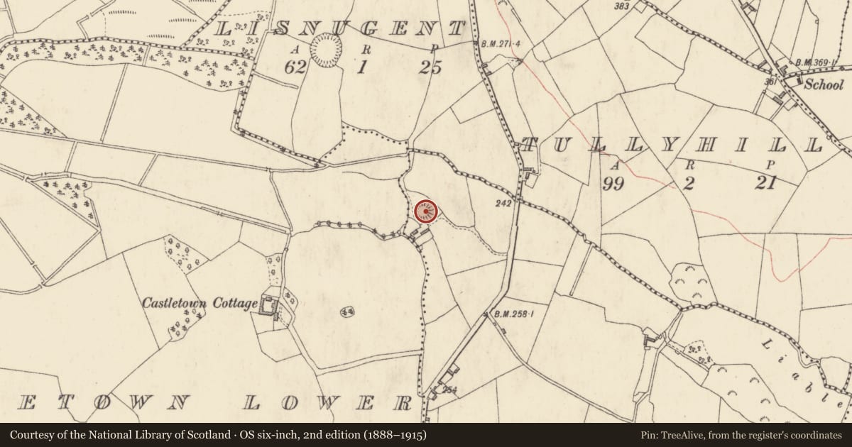 Ordnance Survey six-inch map, 2nd edition (1888–1915) covering the location of Castle - motte, Castletown Upper, County Westmeath, with a pin at the register's coordinates