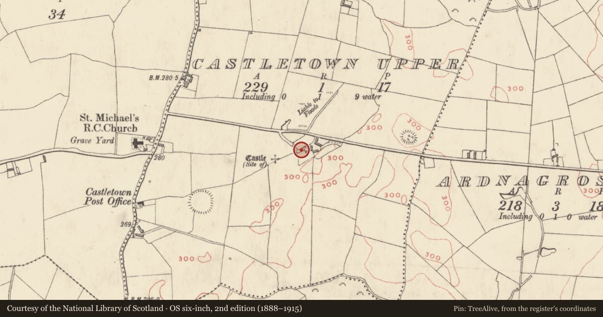 Ordnance Survey six-inch map, 2nd edition (1888–1915) covering the location of Castle - unclassified, Castletown Upper, County Westmeath, with a pin at the register's coordinates