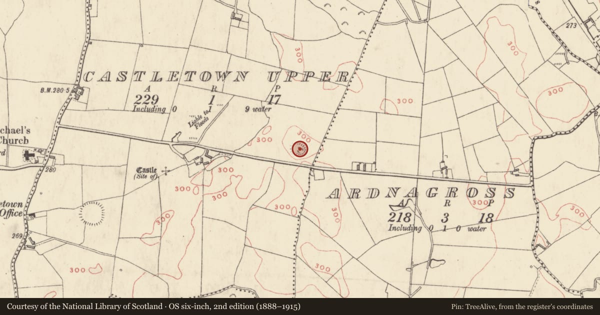 Ordnance Survey six-inch map, 2nd edition (1888–1915) covering the location of Ringfort - rath, Castletown Upper, County Westmeath, with a pin at the register's coordinates