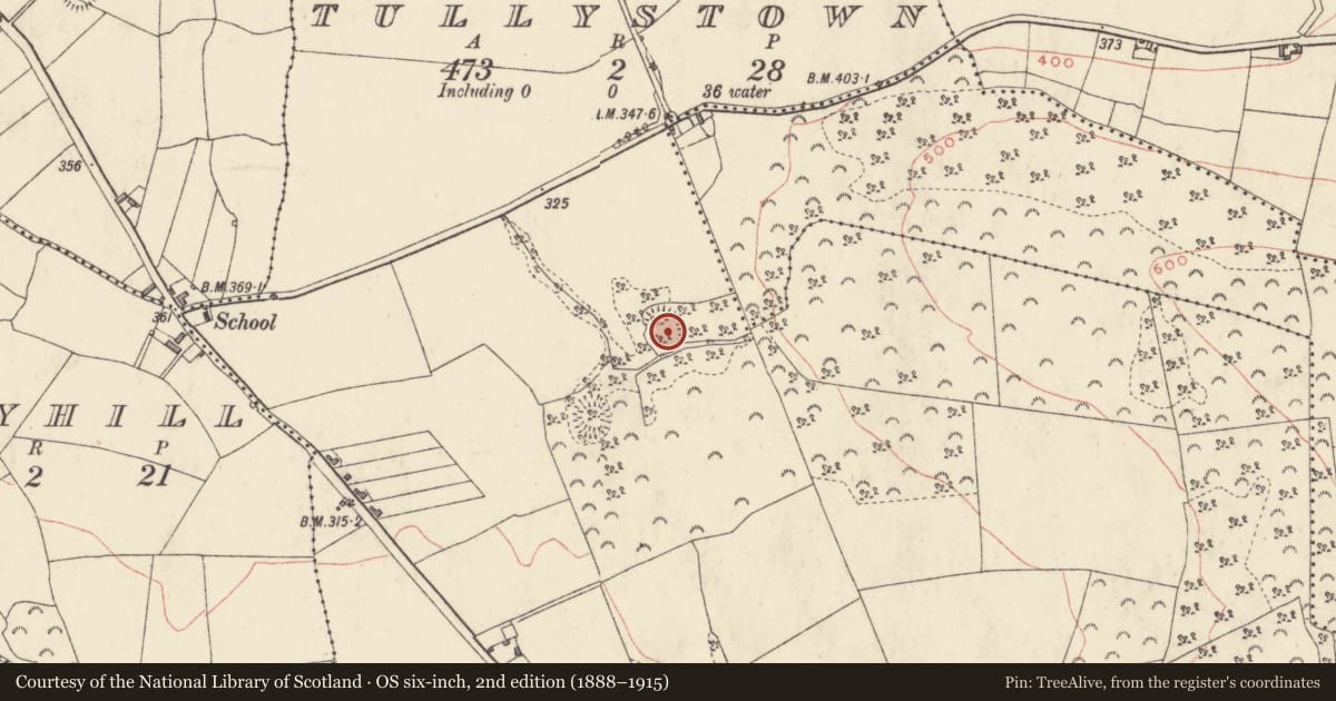 Ordnance Survey six-inch map, 2nd edition (1888–1915) covering the location of Ringfort - rath, Tullystown, County Westmeath, with a pin at the register's coordinates
