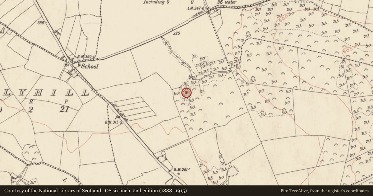 Ordnance Survey six-inch map, 2nd edition (1888–1915) covering the location of Hut site, Tullystown, County Westmeath, with a pin at the register's coordinates