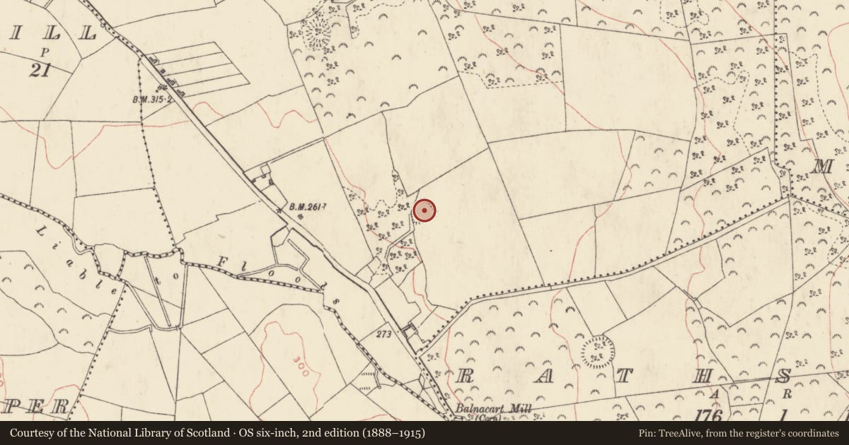 Ordnance Survey six-inch map, 2nd edition (1888–1915) covering the location of Ringfort - rath, Tullystown, County Westmeath, with a pin at the register's coordinates