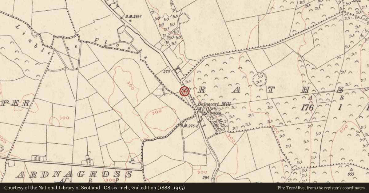 Ordnance Survey six-inch map, 2nd edition (1888–1915) covering the location of Standing stone, Tullystown, County Westmeath, with a pin at the register's coordinates
