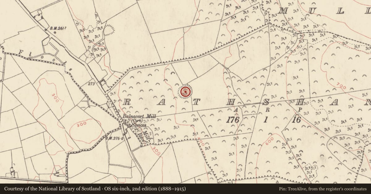 Ordnance Survey six-inch map, 2nd edition (1888–1915) covering the location of Ringfort - rath, Rathshane, County Westmeath, with a pin at the register's coordinates