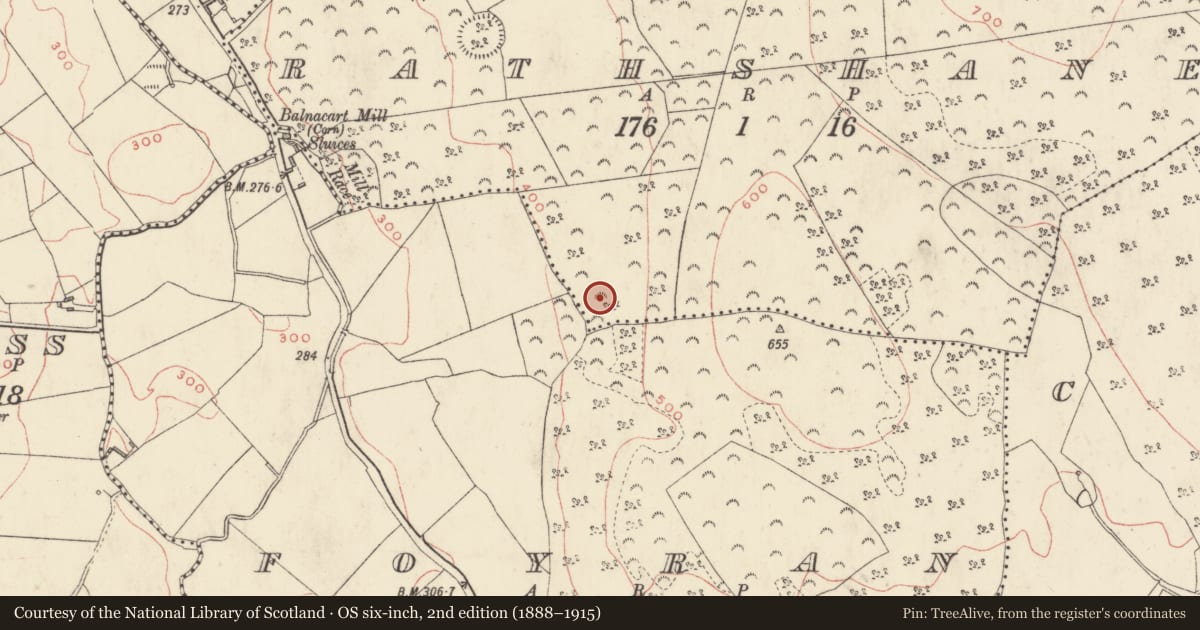 Ordnance Survey six-inch map, 2nd edition (1888–1915) covering the location of Ringfort - rath, Rathshane, County Westmeath, with a pin at the register's coordinates