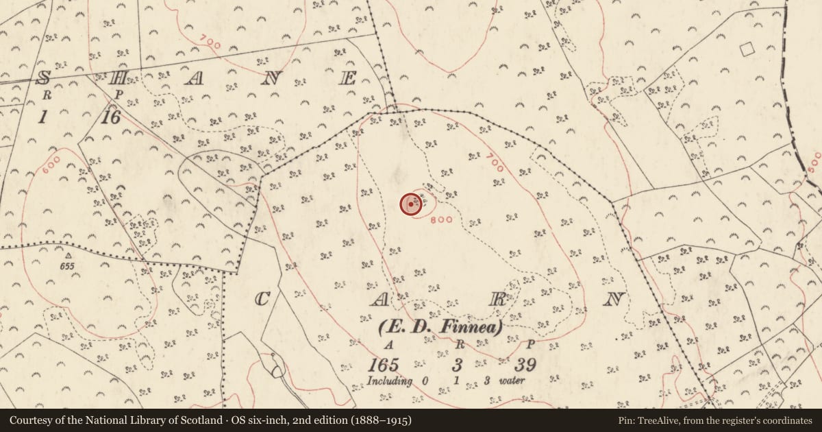 Ordnance Survey six-inch map, 2nd edition (1888–1915) covering the location of Hillfort, Carn, County Westmeath, with a pin at the register's coordinates