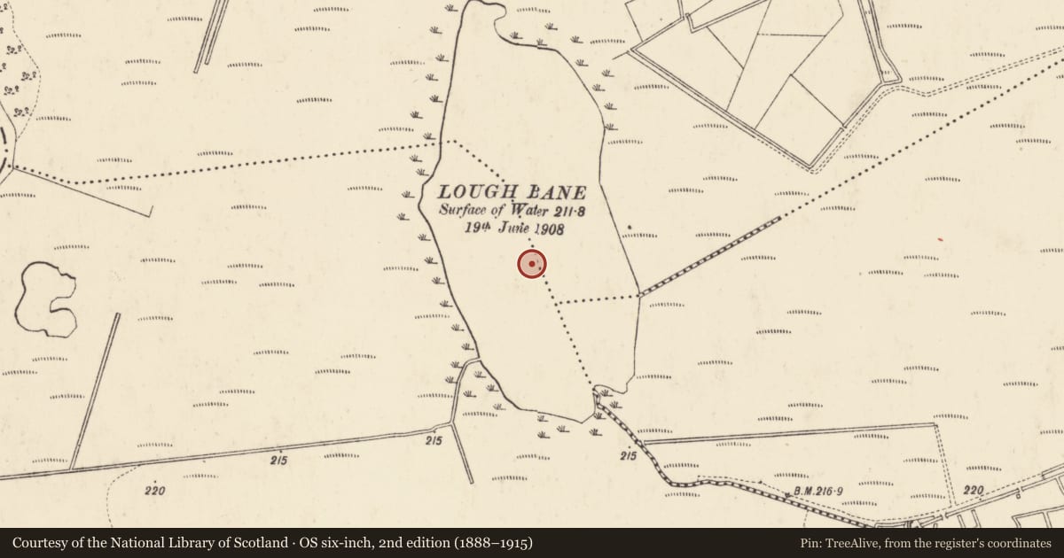 Ordnance Survey six-inch map, 2nd edition (1888–1915) covering the location of Crannog, Clonsura, County Westmeath, with a pin at the register's coordinates