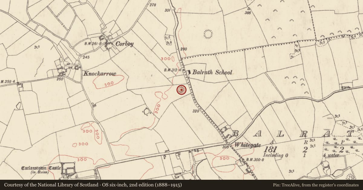 Ordnance Survey six-inch map, 2nd edition (1888–1915) covering the location of Ringfort - rath, Carlanstown, County Westmeath, with a pin at the register's coordinates