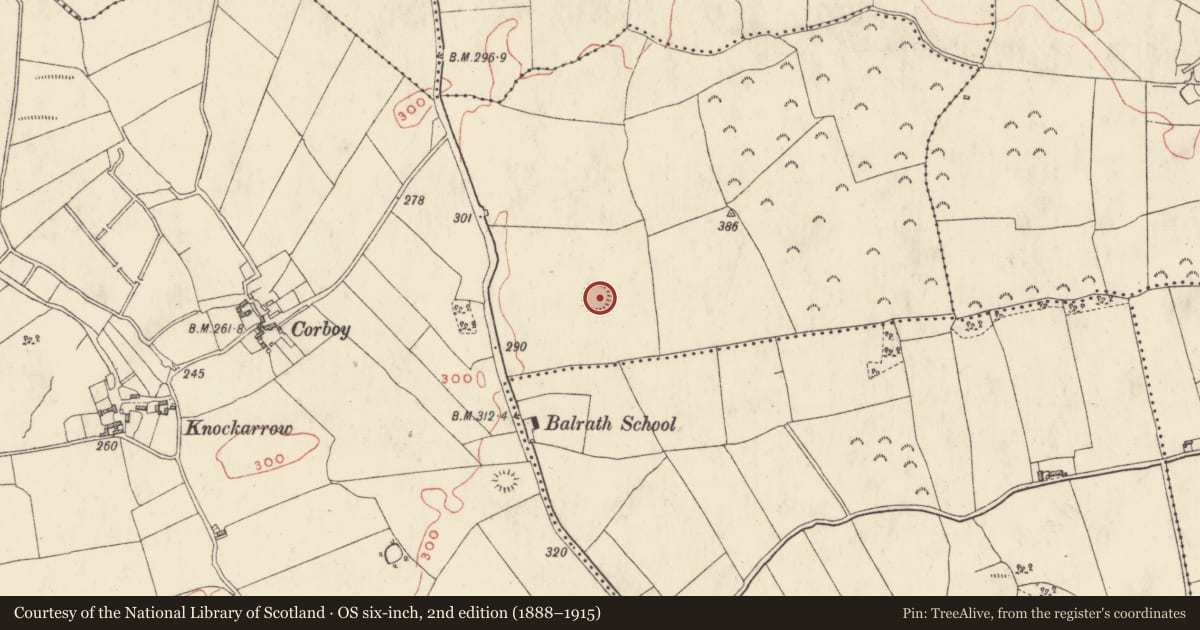 Ordnance Survey six-inch map, 2nd edition (1888–1915) covering the location of Ringfort - rath, Carlanstown, County Westmeath, with a pin at the register's coordinates