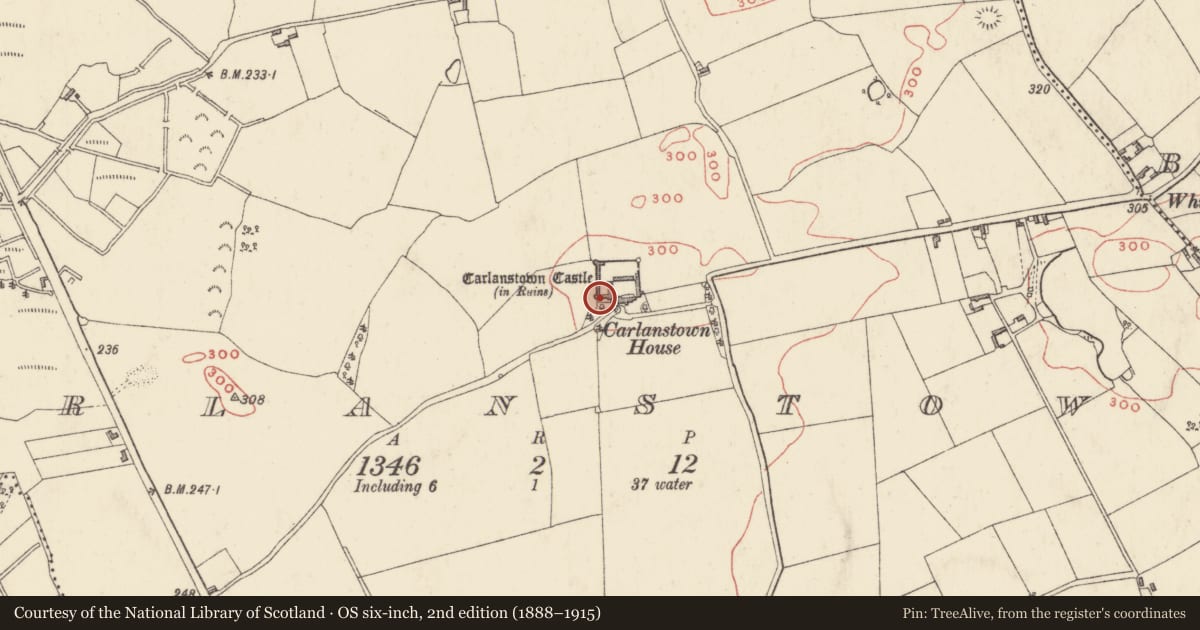 Ordnance Survey six-inch map, 2nd edition (1888–1915) covering the location of Architectural fragment, Carlanstown, County Westmeath, with a pin at the register's coordinates