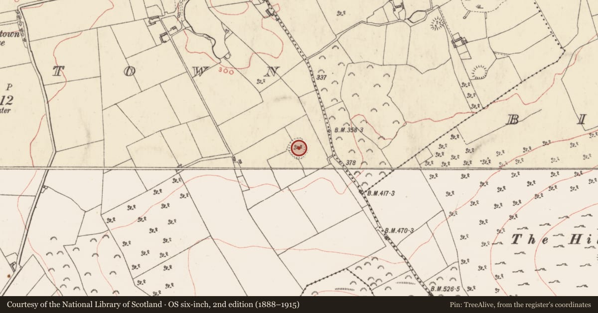 Ordnance Survey six-inch map, 2nd edition (1888–1915) covering the location of Ringfort - rath, Carlanstown, County Westmeath, with a pin at the register's coordinates