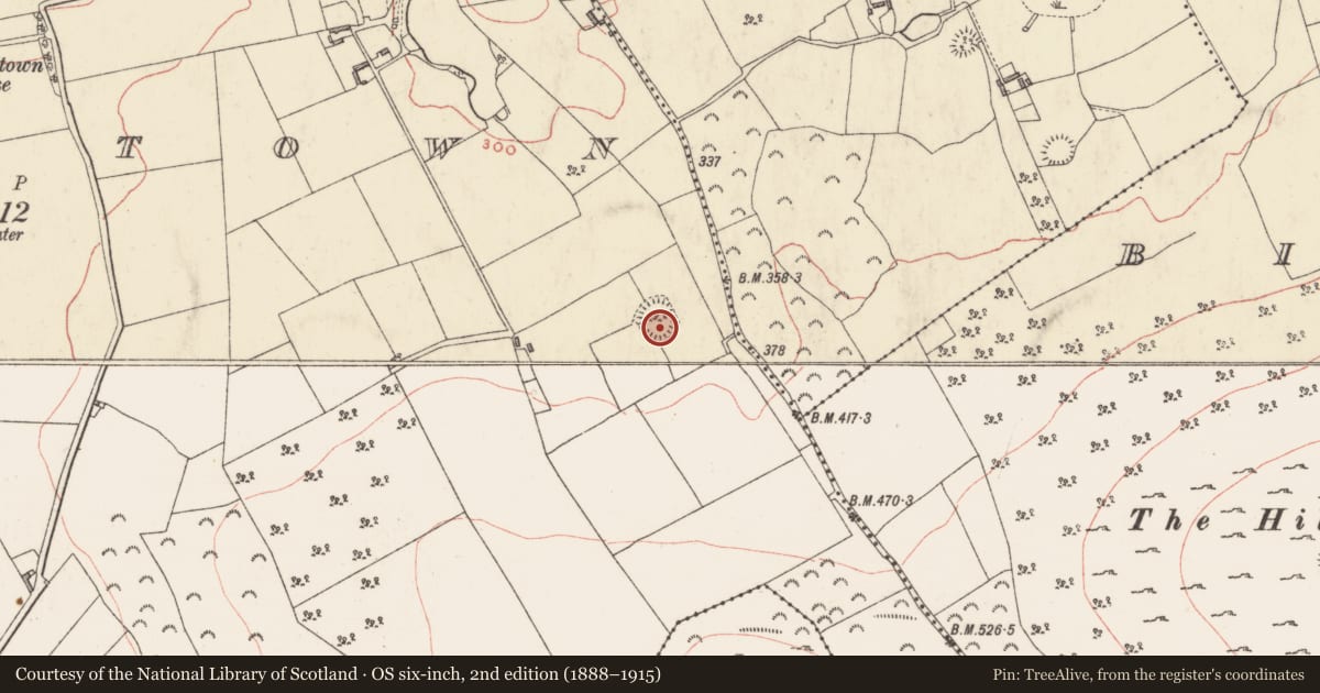 Ordnance Survey six-inch map, 2nd edition (1888–1915) covering the location of Hut site, Carlanstown, County Westmeath, with a pin at the register's coordinates