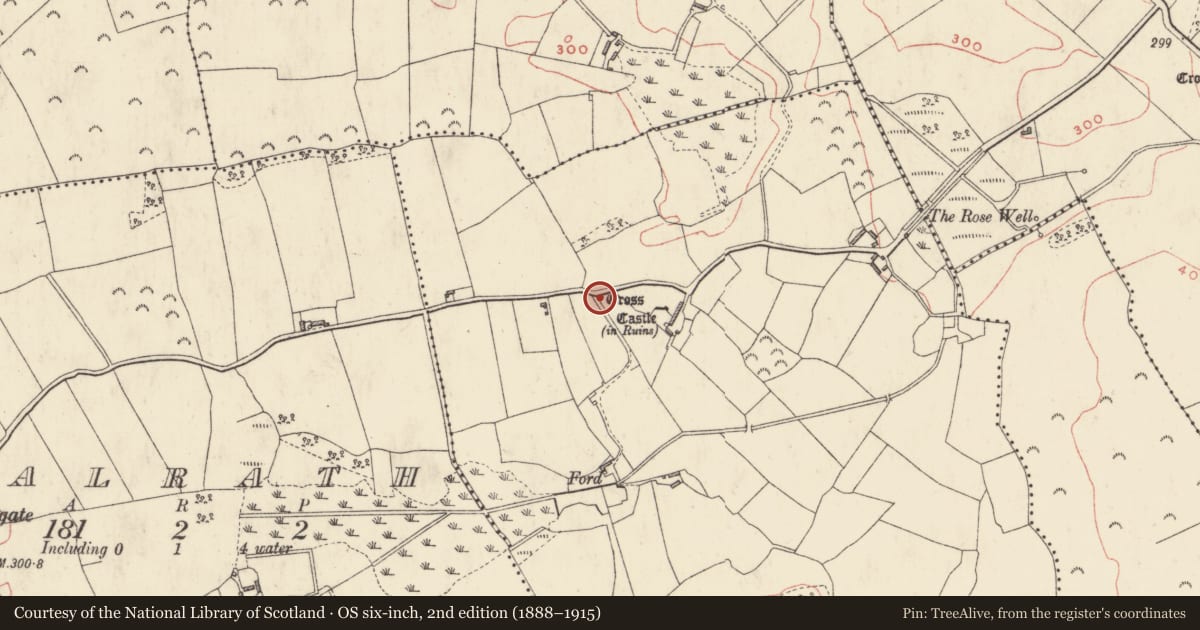 Ordnance Survey six-inch map, 2nd edition (1888–1915) covering the location of Cross - Wayside cross, Bigwood, County Westmeath, with a pin at the register's coordinates