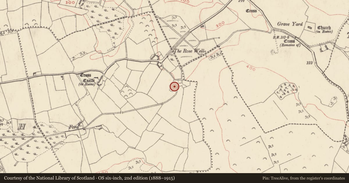 Ordnance Survey six-inch map, 2nd edition (1888–1915) covering the location of Ringfort - unclassified, Bigwood, County Westmeath, with a pin at the register's coordinates