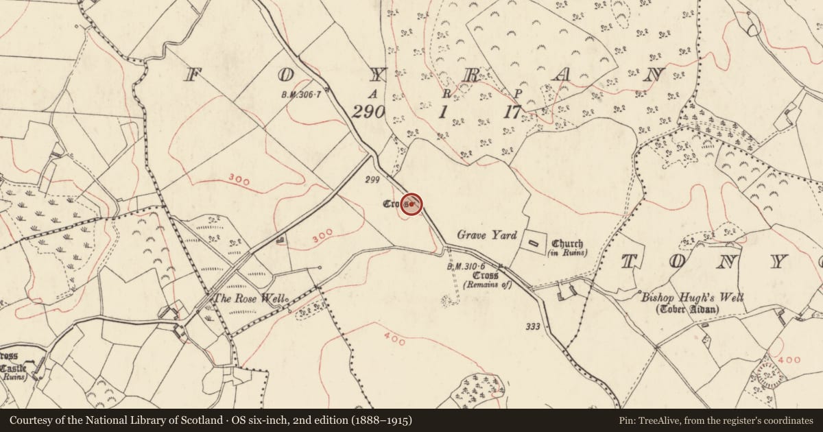 Ordnance Survey six-inch map, 2nd edition (1888–1915) covering the location of Cross - Wayside cross, Foyran, County Westmeath, with a pin at the register's coordinates