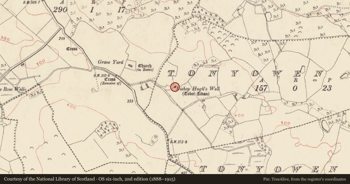 Ordnance Survey six-inch map, 2nd edition (1888–1915) covering the location of Ritual site - holy well, Tonyowen Lower, County Westmeath, with a pin at the register's coordinates