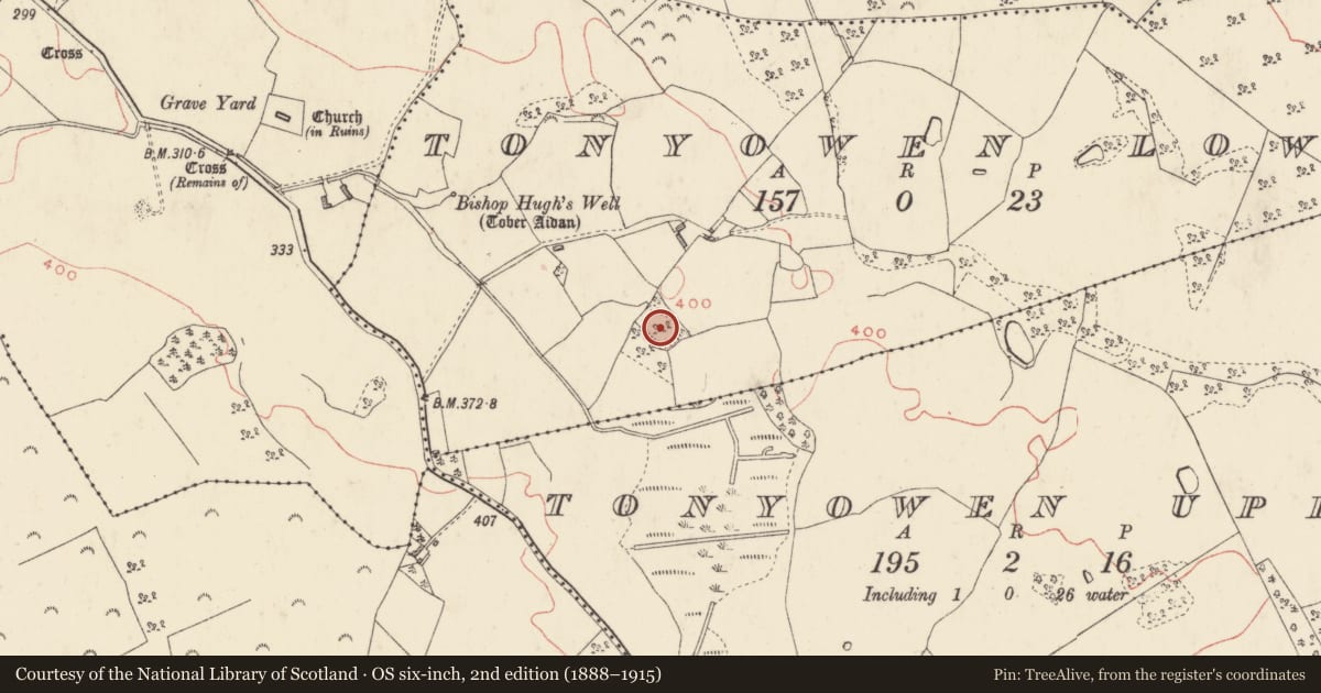 Ordnance Survey six-inch map, 2nd edition (1888–1915) covering the location of Ringfort - unclassified, Tonyowen Lower, County Westmeath, with a pin at the register's coordinates